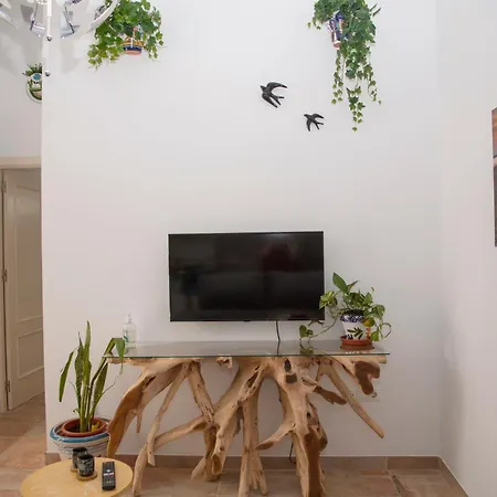 Apartament En Pleno Centro Historico